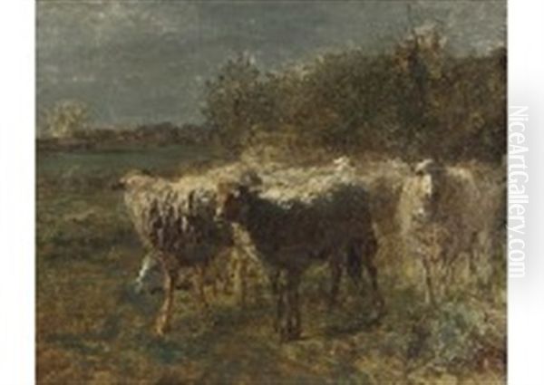 Le Troupeau De Moutons Oil Painting by Constant Troyon