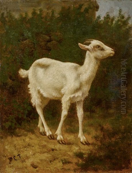 Le Petit Chevre Oil Painting by Constant Troyon