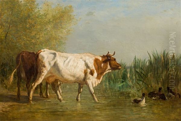 Kuhe Am Seeufer Oil Painting by Constant Troyon