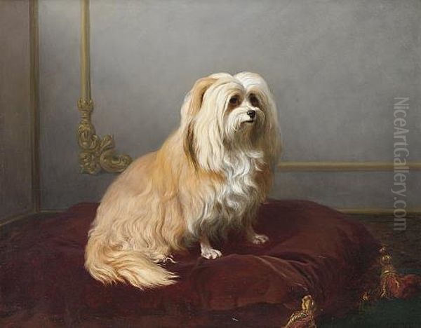 A Toy Dog Seated On A Red Cushion Oil Painting by Edmond Tschaggeny