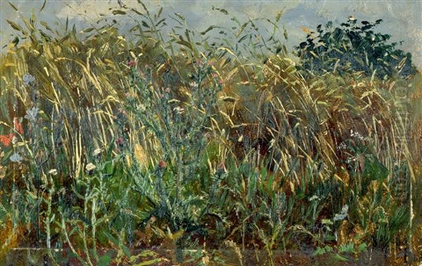 Feldrain Mit Mohnblumen Und Wilder Distel Oil Painting by Paul Wilhelm Tuebbecke