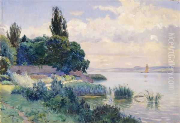 L'embouchure De L'areuse Dans Le Lac De Neuchatel Oil Painting by Emile David Turrian