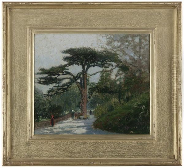 Cedar Of Lebanon, Jardin Des Plantes, Paris Oil Painting by Macowin Tuttle