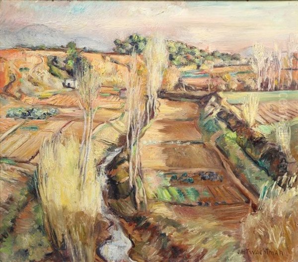 Farming Fields Oil Painting by John Henry Twachtman