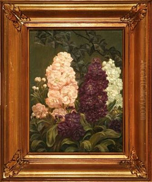 Pink, White And Purple Stocks Oil Painting by E.C. (Emil C.) Ulnitz