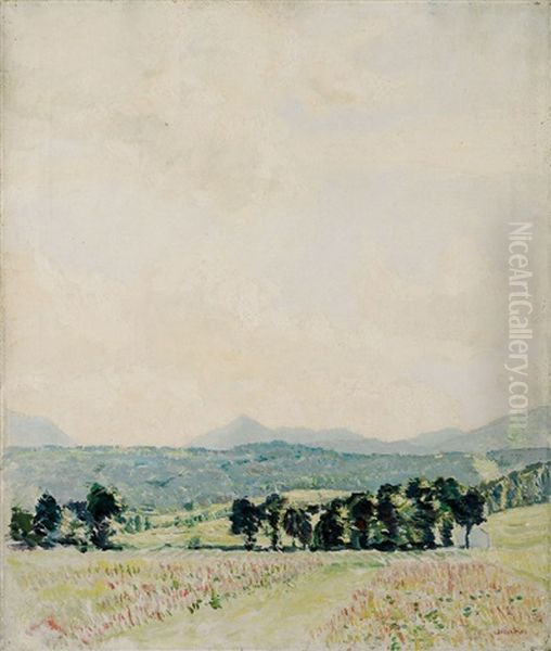 Sonnige Fruhlingslandschaft In Den Voralpen Oil Painting by Hermann Urban