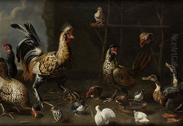 Composicion Con Gallo, Gallinas, Pollos Y Patos Oil Painting by Adriaen van Utrecht