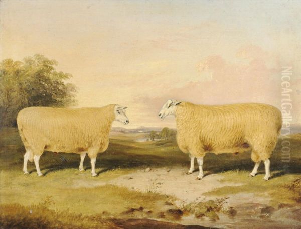 Two Prize Leicester Rams, Standing Beside Trees Oil Painting by Thomas W. Bretland