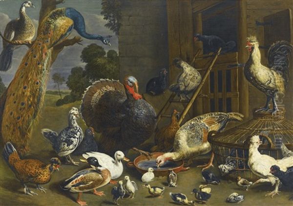 A Variety Of Birds Including A Peacock, Turkey, Chickens, And Ducks With Their Young Drinking, Playing And Pecking About In A Yard Oil Painting by Adriaen van Utrecht