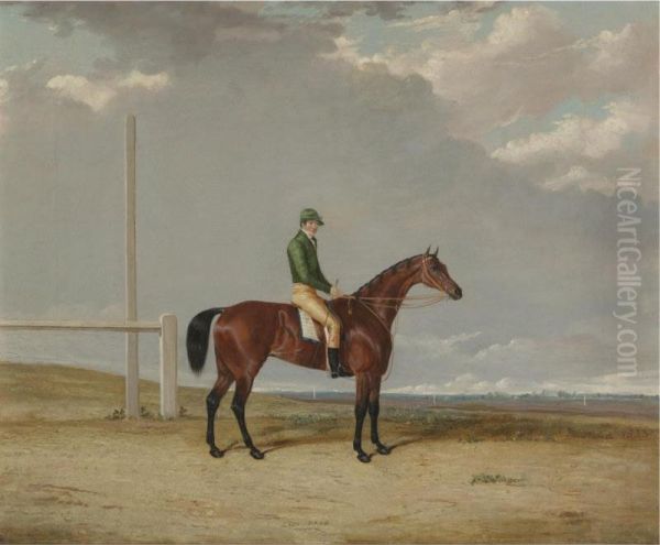 A Bay Racehorse Oil Painting by Thomas W. Bretland