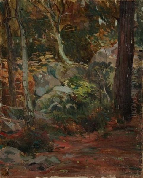 Sous-bois Oil Painting by Alfredo Vaccari