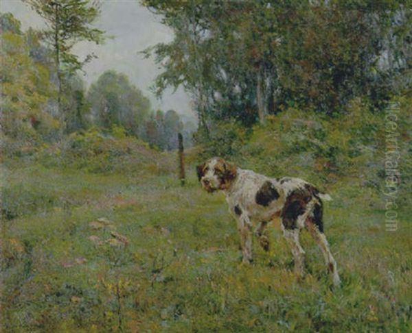 Cane Nel Paesaggio Oil Painting by Alfredo Vaccari