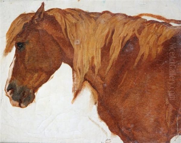 Portrait De Cheval Oil Painting by Theodore Valerio