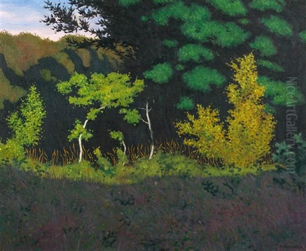 Lisiere De Foret Oil Painting by Felix Vallotton