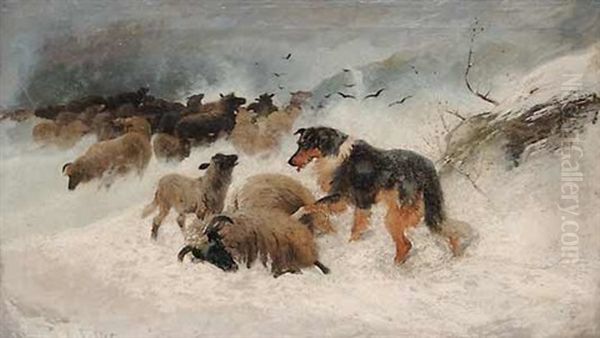 Sheep In A Snowstorm, The Rescue Oil Painting by Frederick E. Valter