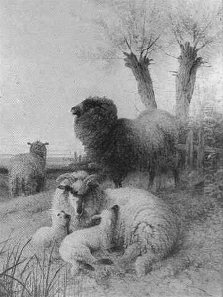 Sheep At Rest Oil Painting by Frederick E. Valter