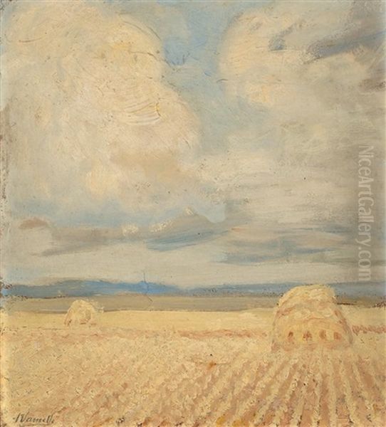 Campo Segado Oil Painting by Joaquim Vancells y Vieta