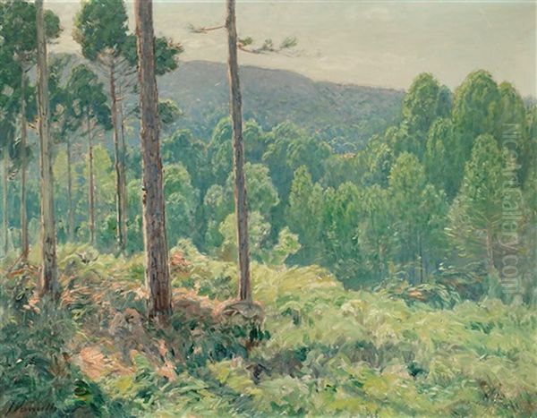 Bosque Oil Painting by Joaquim Vancells y Vieta