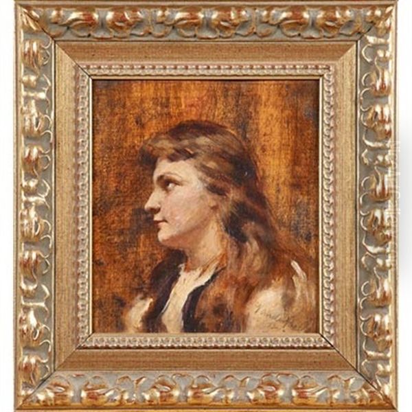 Untitled (portrait Of A Woman), 1892 Oil Painting by John H. Vanderpoel