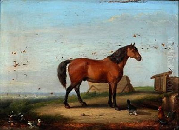 A Brown Stallion With Ducks And Chickens Oil Painting by Francois Vandeverdonck