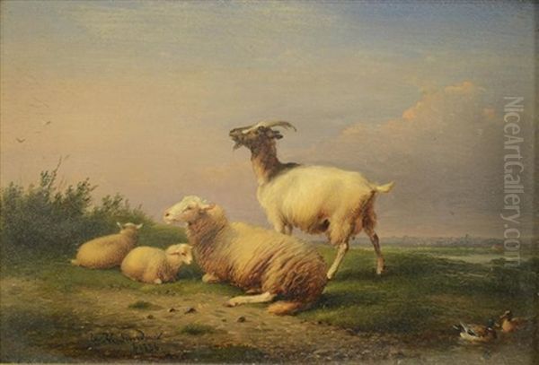 Sheep And Goat In Pasture Oil Painting by Francois Vandeverdonck