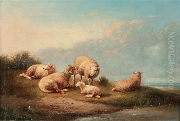 Resting Sheep Oil Painting by Francois Vandeverdonck