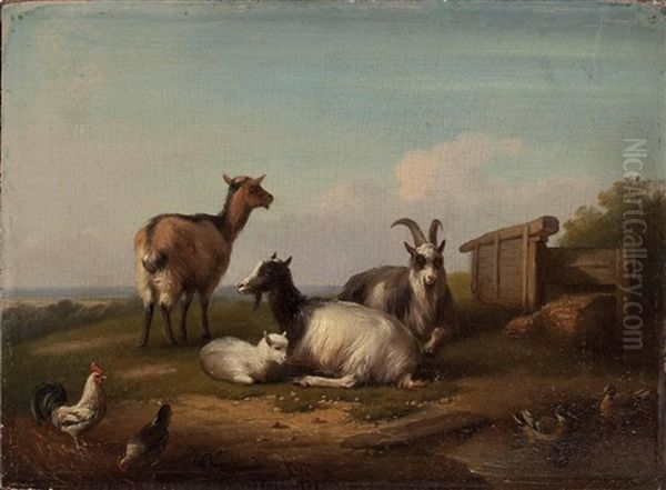 Landschaftsidylle Mit Rastenden Ziegen, Huhner Und Enten Oil Painting by Francois Vandeverdonck