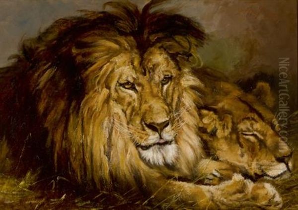 Resting Lion And Lioness Oil Painting by Geza Vastagh