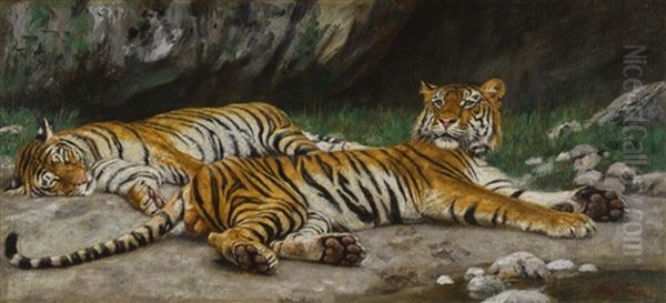 Resting Tigers Oil Painting by Geza Vastagh