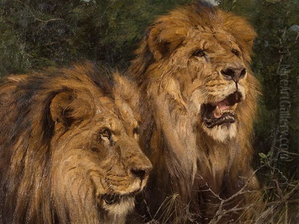 Two Lions Oil Painting by Geza Vastagh