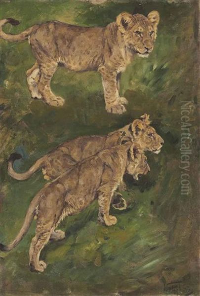 Three Lion Cubs Oil Painting by Geza Vastagh