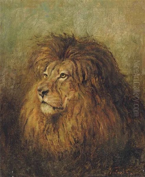 A Lion Oil Painting by Geza Vastagh