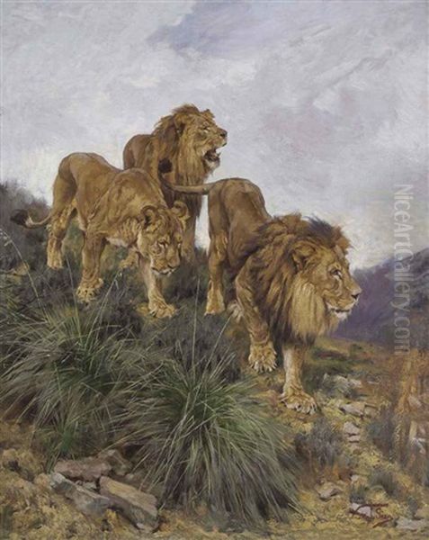 Three Lions Walking Down A Rocky Hillside Oil Painting by Geza Vastagh