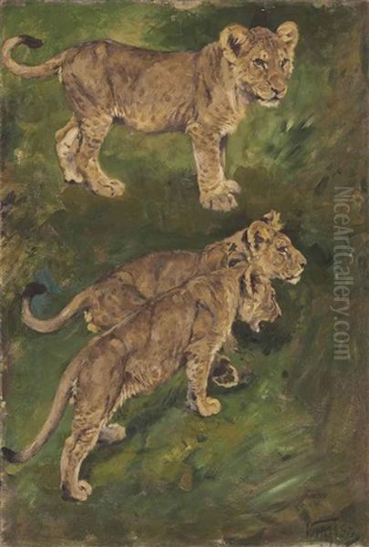 Three Lion Cubs Oil Painting by Geza Vastagh