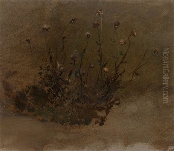 Wild Flowers (thistles) Oil Painting by Elihu Vedder