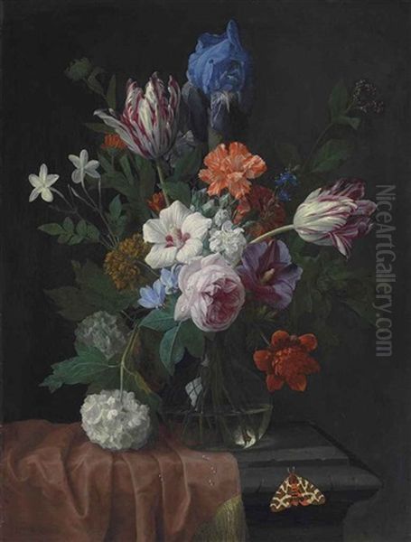 Hibiscus, Parrot Tulips, Carnations, A Rose, An Iris, Snowballs And Other Flowers In A Vase On A Partially Draped Stone Ledge, With A Garden Tiger Moth Oil Painting by Nicolaes van Veerendael