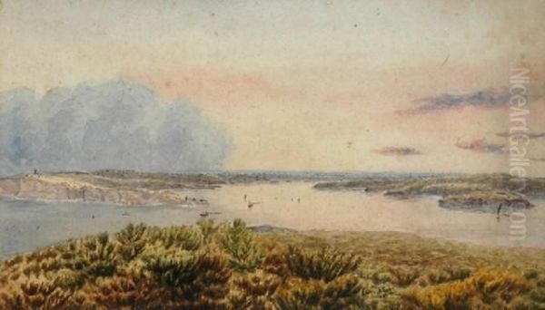 D.stocks Sydney Harbour From North Shore Oil Painting by John Ernest Breun