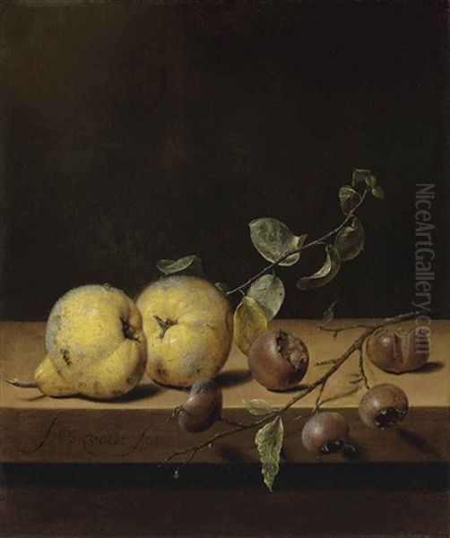 Quinces And Medlars On A Ledge Oil Painting by Jan van de Velde III