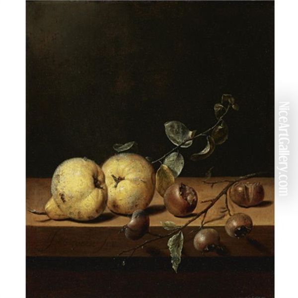 Quinces And Medlars On A Table Ledge Oil Painting by Jan van de Velde III