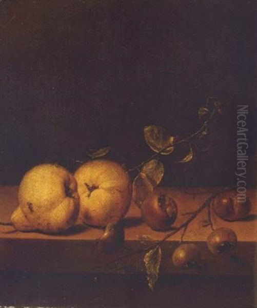 Stilleben Mit Birnen Und Hagebutten Oil Painting by Jan van de Velde III