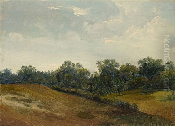 Wolken Uber Sommerlicher Landschaft by Albert Venus