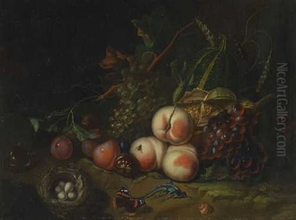 Fruchtestillleben Mit Vogelnest Oil Painting by Willem Verbeet