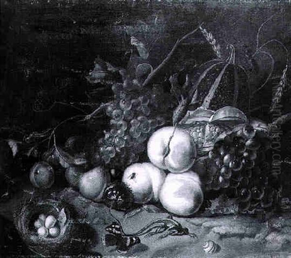 Still Life With A Bunch Of Grapes, Vines, Peaches And Other Fruit, And Insects Oil Painting by Willem Verbeet