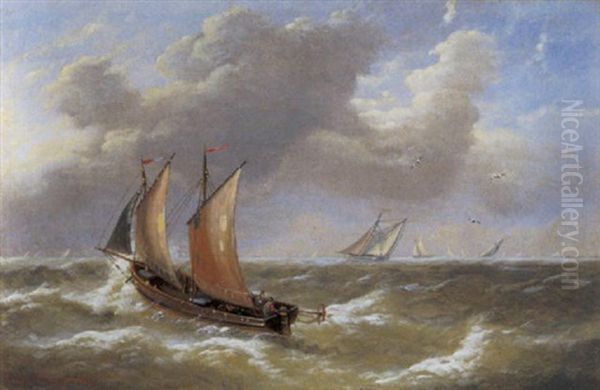 Marine Oil Painting by Louis Verboeckhoven the Younger