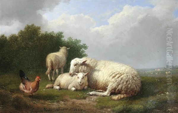 Sheep Sheltering With A Chicken Oil Painting by Eugene Verboeckhoven