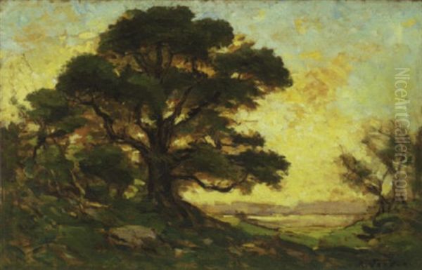 Summer Landscape With Shade Tree Oil Painting by Raymond Jean Verdun