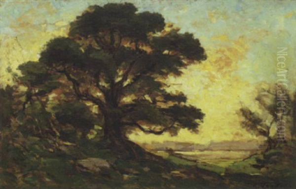 Summer Landscape With Shade Tree Oil Painting by Raymond Jean Verdun