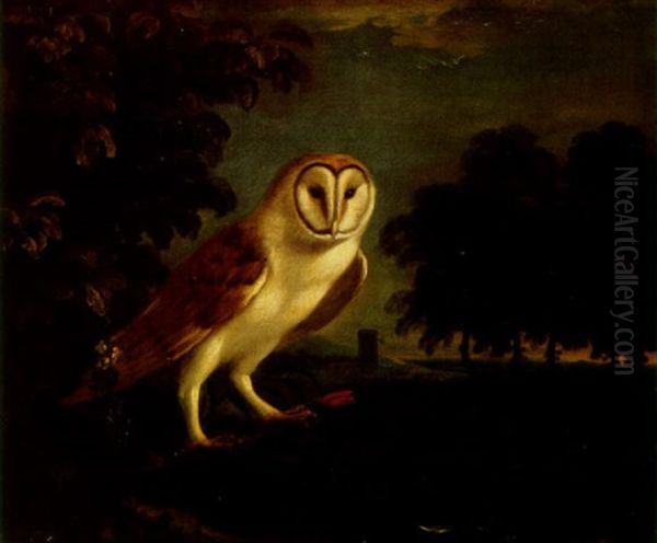 A Barn Owl In A Wooded Landscape Oil Painting by William Verelst