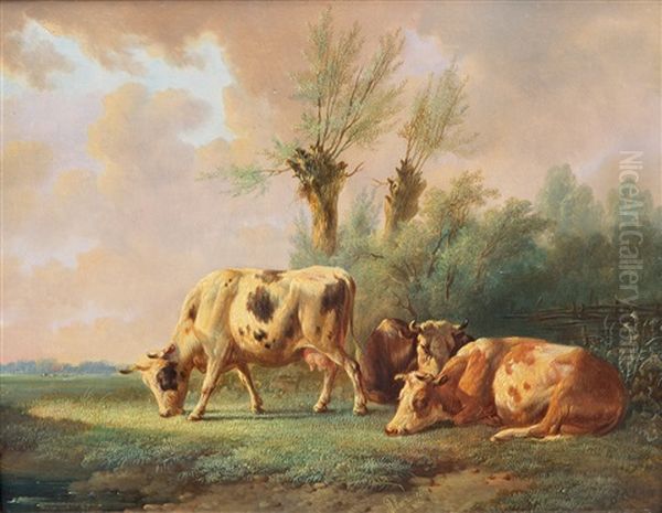 Resting Cows In A Meadow Oil Painting by Albertus Verhoesen