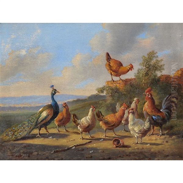 Chickens With A Peacock; Chickens Going To Roost Oil Painting by Albertus Verhoesen